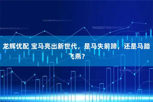 龙辉优配 宝马亮出新世代，是马失前蹄，还是马踏飞燕？