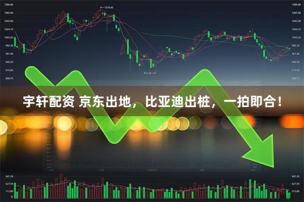 宇轩配资 京东出地，比亚迪出桩，一拍即合！