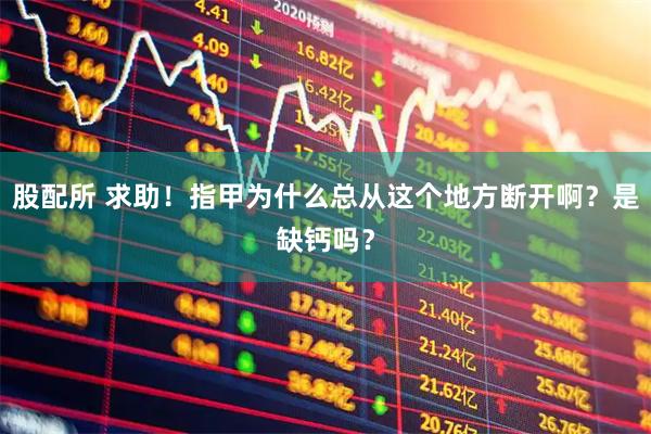 股配所 求助！指甲为什么总从这个地方断开啊？是缺钙吗？