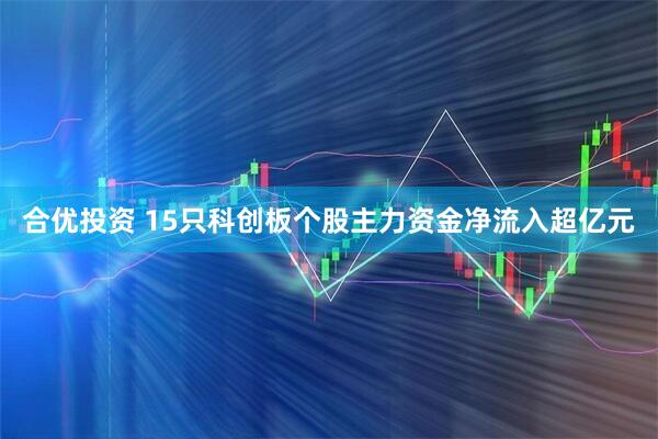 合优投资 15只科创板个股主力资金净流入超亿元