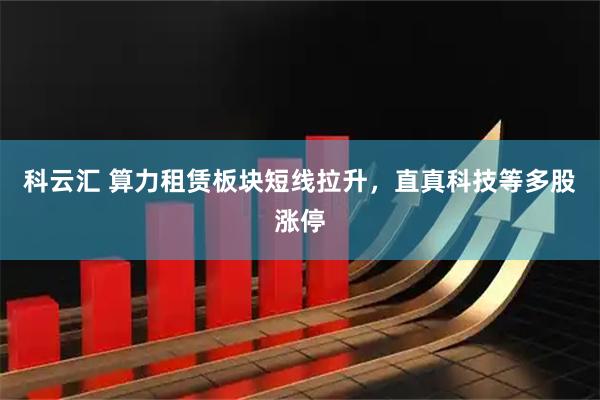 科云汇 算力租赁板块短线拉升，直真科技等多股涨停