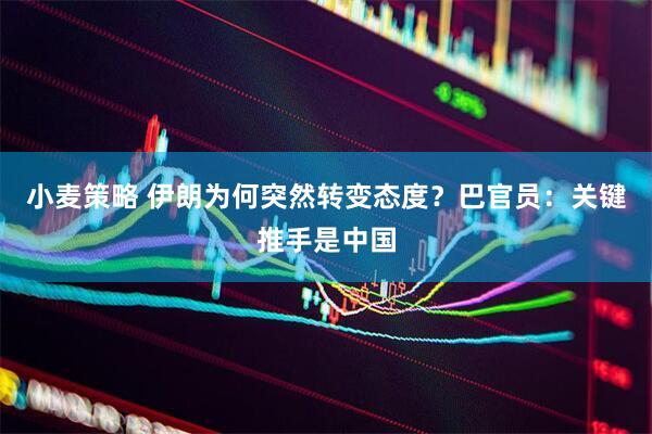 小麦策略 伊朗为何突然转变态度？巴官员：关键推手是中国