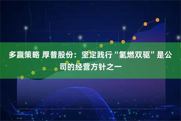 多赢策略 厚普股份：坚定践行“氢燃双驱”是公司的经营方针之一