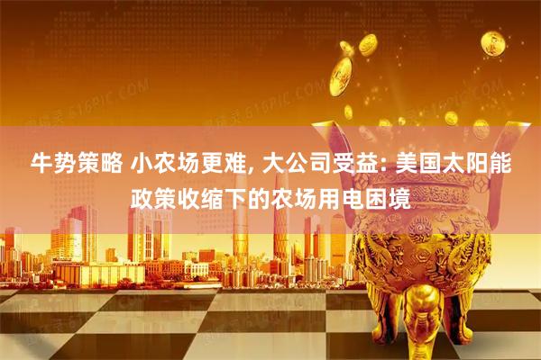 牛势策略 小农场更难, 大公司受益: 美国太阳能政策收缩下的农场用电困境