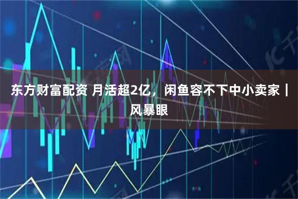 东方财富配资 月活超2亿，闲鱼容不下中小卖家｜风暴眼