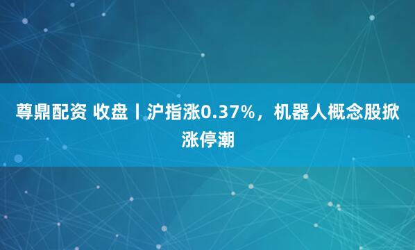 尊鼎配资 收盘丨沪指涨0.37%，机器人概念股掀涨停潮