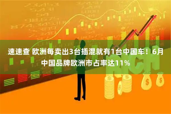 速速查 欧洲每卖出3台插混就有1台中国车！6月中国品牌欧洲市占率达11%