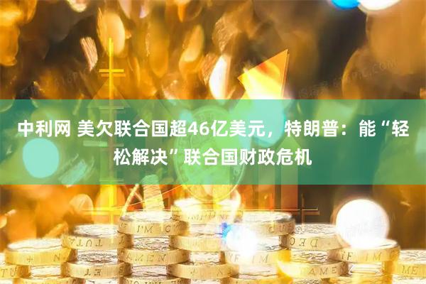 中利网 美欠联合国超46亿美元，特朗普：能“轻松解决”联合国财政危机