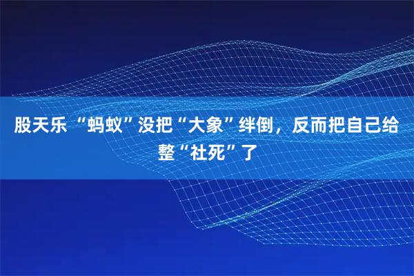 股天乐 “蚂蚁”没把“大象”绊倒,反而把自己给整“社死”了