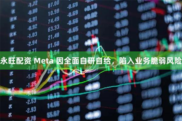 永旺配资 Meta 因全面自研自给，陷入业务脆弱风险
