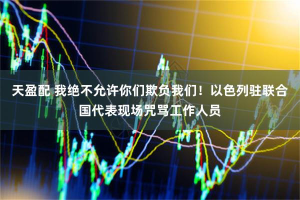 天盈配 我绝不允许你们欺负我们！以色列驻联合国代表现场咒骂工作人员