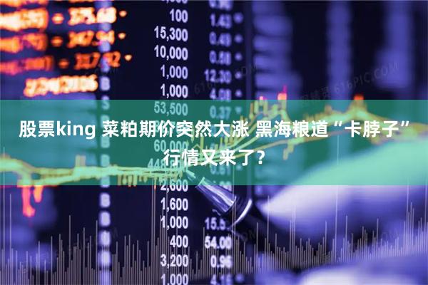 股票king 菜粕期价突然大涨 黑海粮道“卡脖子”行情又来了？